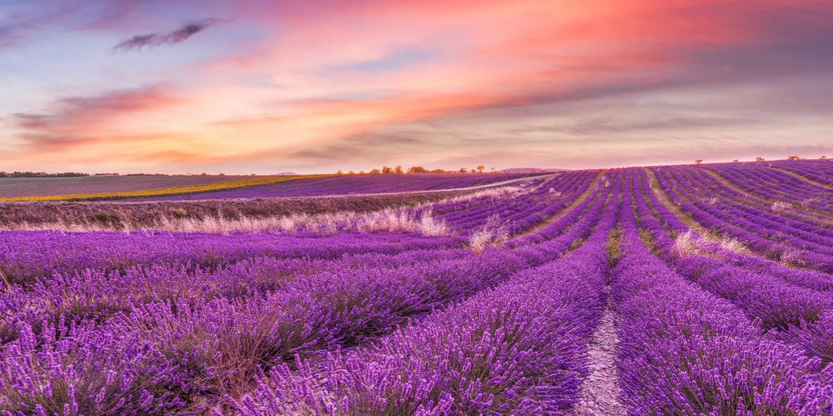10 Robes Légères et Bohèmes à Porter en Provence cet Été